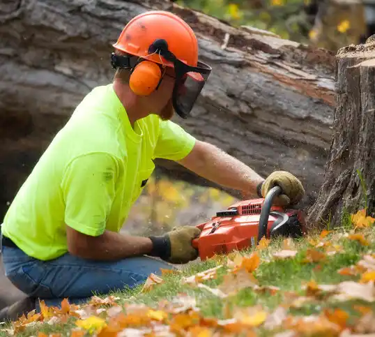 tree services Pleasant Hill